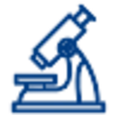 MHC-Peptide Tetramer